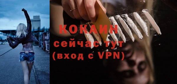 мдпв Осташков