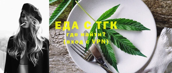 мдпв Осташков