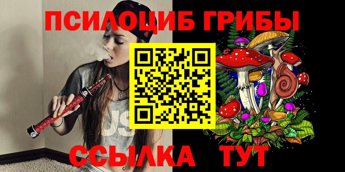 купить наркотик  Псилоцибиновые грибы Psilocybe  Бугуруслан  Вход с VPN  Псилоцибиновые грибы мухоморы 