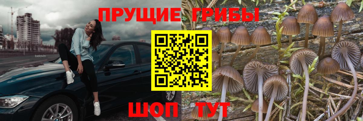 Галлюциногенные грибы прущие грибы  Бугуруслан 